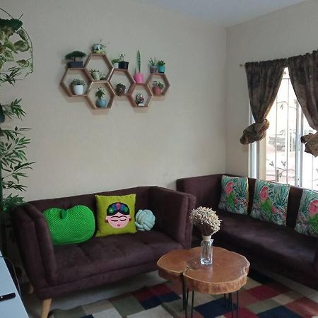 La Casa Del Pinito Apartment Sonsonate Luaran gambar