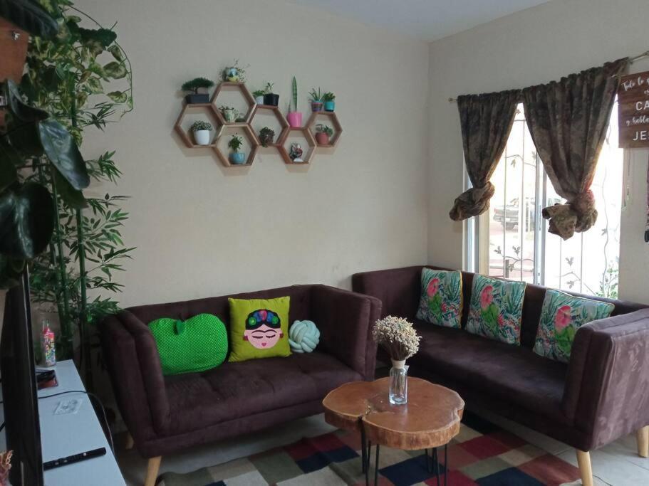 La Casa Del Pinito Apartment Sonsonate Luaran gambar