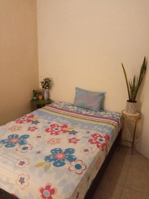 La Casa Del Pinito Apartment Sonsonate Luaran gambar